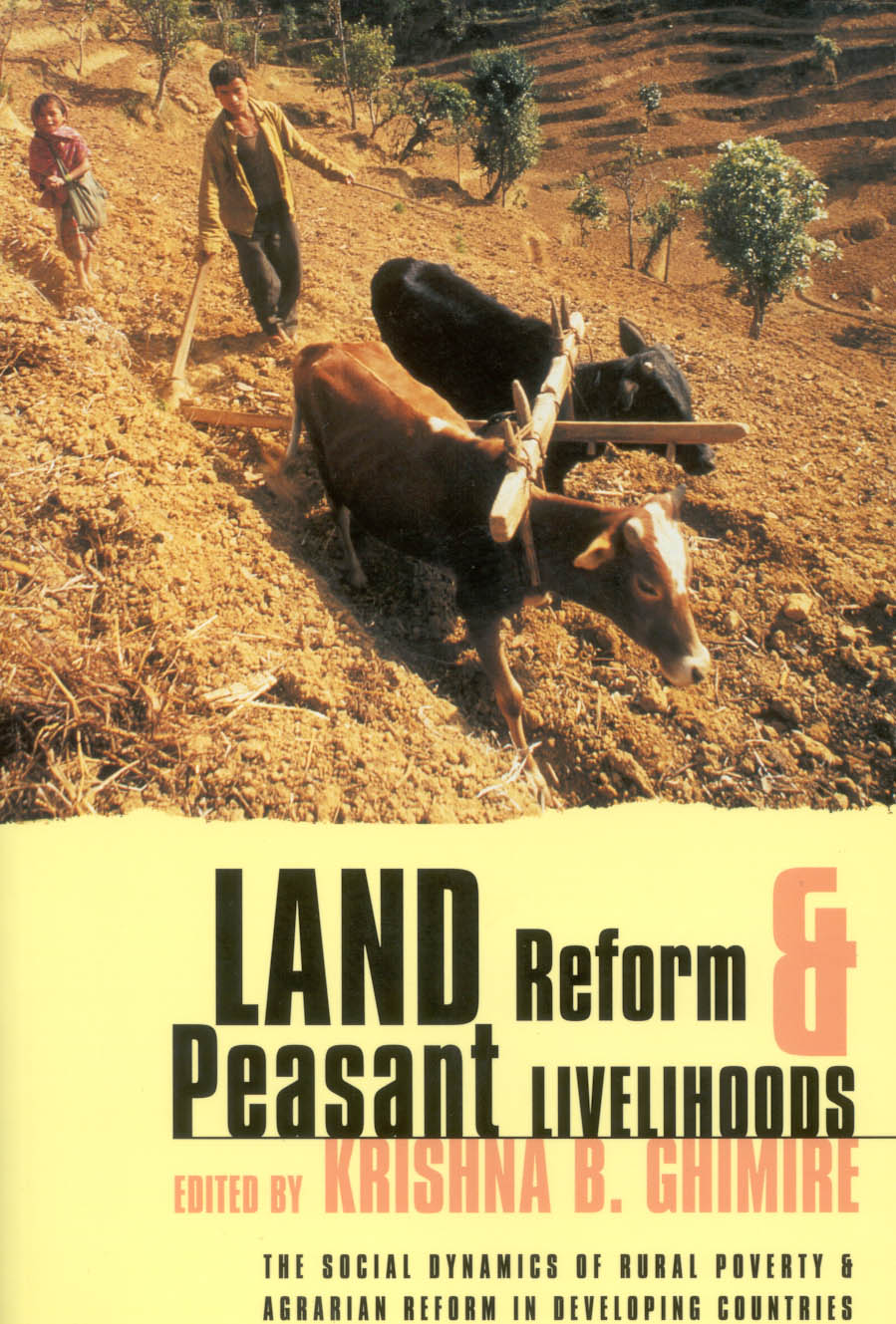 land-reform-and-peasant-livelihoods