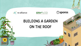 Building a Garden on the Roof