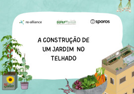 A construção de um jardim no Telhado