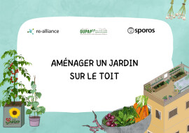 Aménager un jardin sur le toit