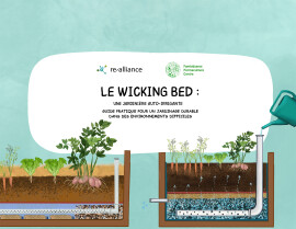 Le Wicking Bed: Une Jardinière Auto-Irrigante
